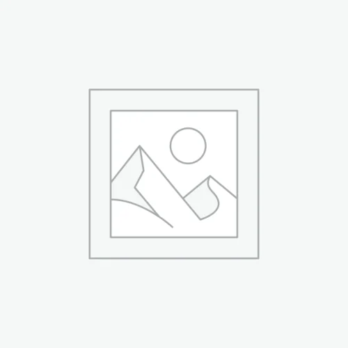 Women's White Studded Leather Biker Jacket - Edgy Skull Embroidery | 2026 Streetwear